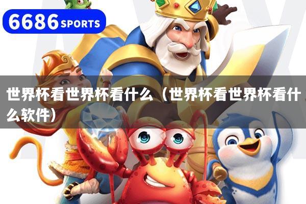 世界杯看世界杯看什么（世界杯看世界杯看什么软件）
