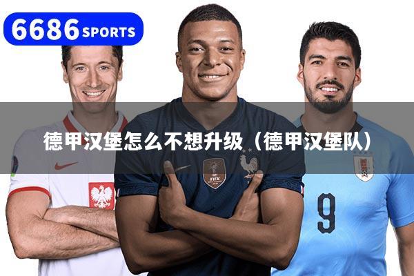 德甲汉堡怎么不想升级（德甲汉堡队）