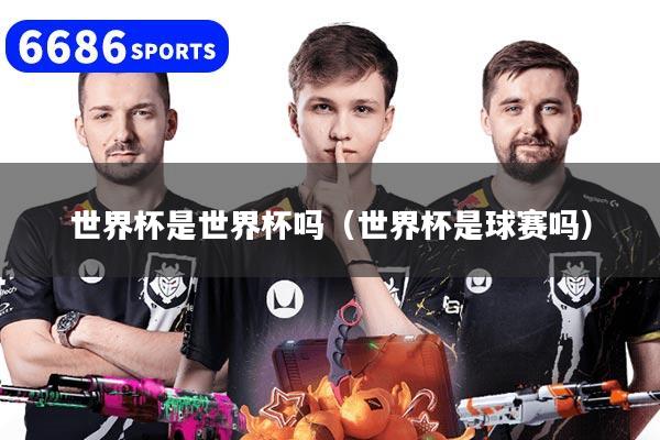世界杯是世界杯吗（世界杯是球赛吗）