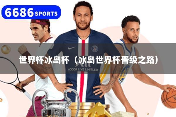 世界杯冰岛杯（冰岛世界杯晋级之路）